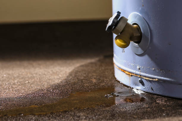 Best Carpet water damage restoration  in Bayard, NM