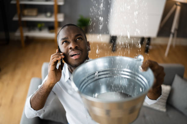Best Local water damage restoration  in Bayard, NM