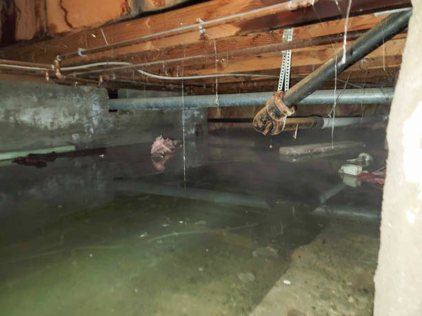 Bayard, NM Water damage restoration Company