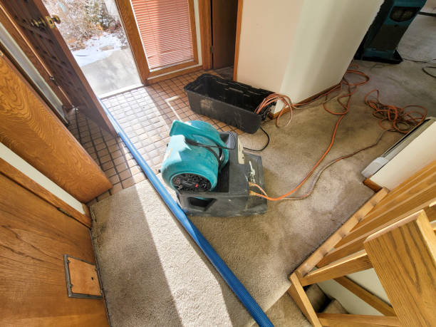 Best Residential water damage restoration  in Bayard, NM