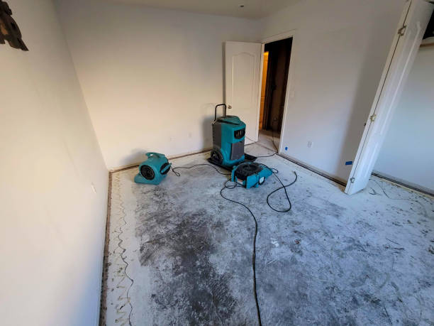 Best Water damage restoration insurance claims  in Bayard, NM