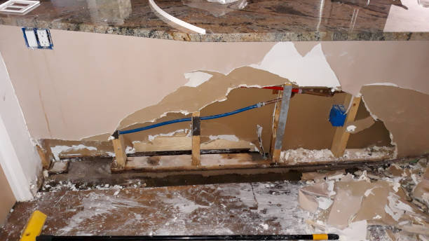 Best Flooded house restoration  in Bayard, NM