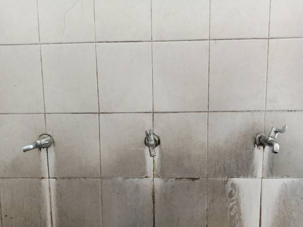 Best Flood restoration services  in Bayard, NM