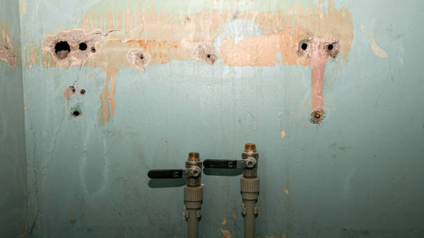 Best Water damage restoration near me  in Bayard, NM