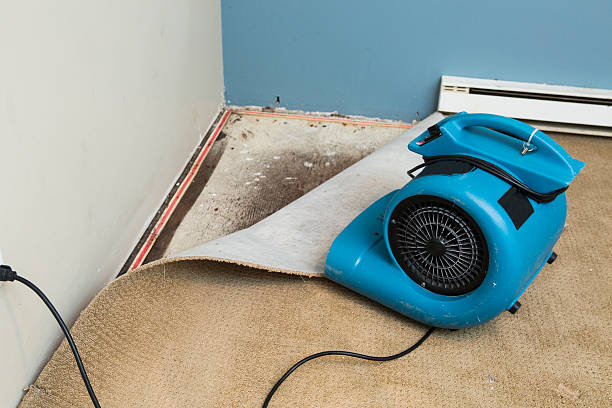 Best 24/7 water damage repair  in Bayard, NM